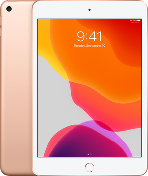 iPad mini 第5世代 Wi-Fiモデル ゴールド