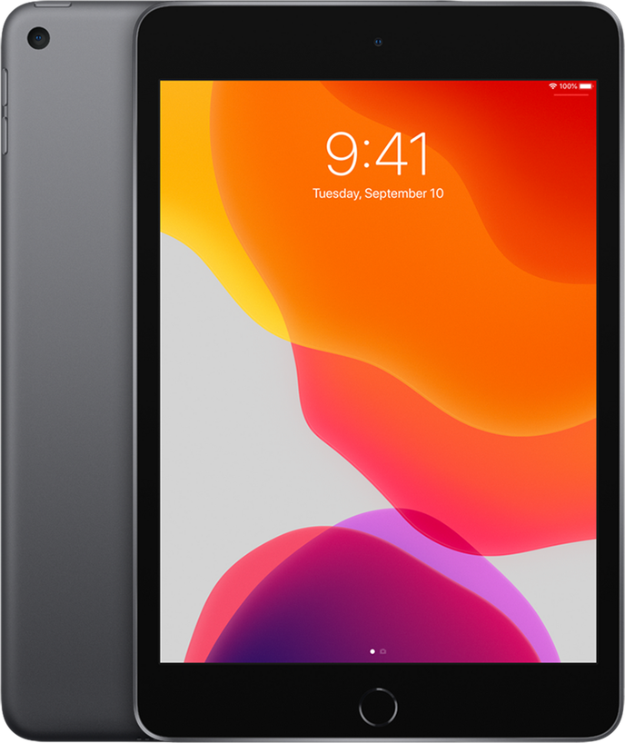 iPad mini 第5世代 Wi-Fi+Cellularモデル スペースグレイ