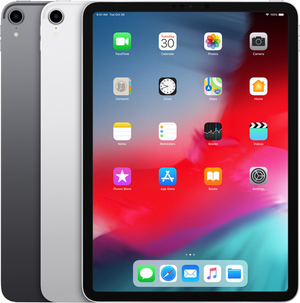 iPad Pro(第1世代)11インチ Wi-Fiモデル カラーバリエーション