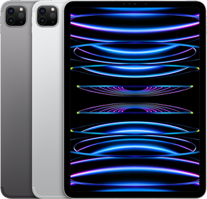 iPad Pro(第4世代)11インチ Wi-Fi+Cellularモデル カラーバリエーション