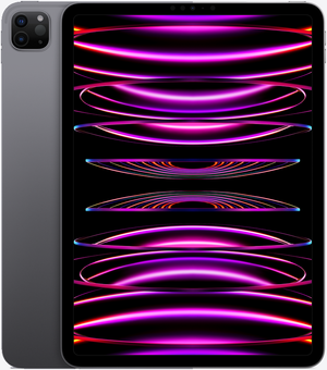 iPad Pro(第4世代)11インチ Wi-Fi+Cellularモデル スペースグレイ
