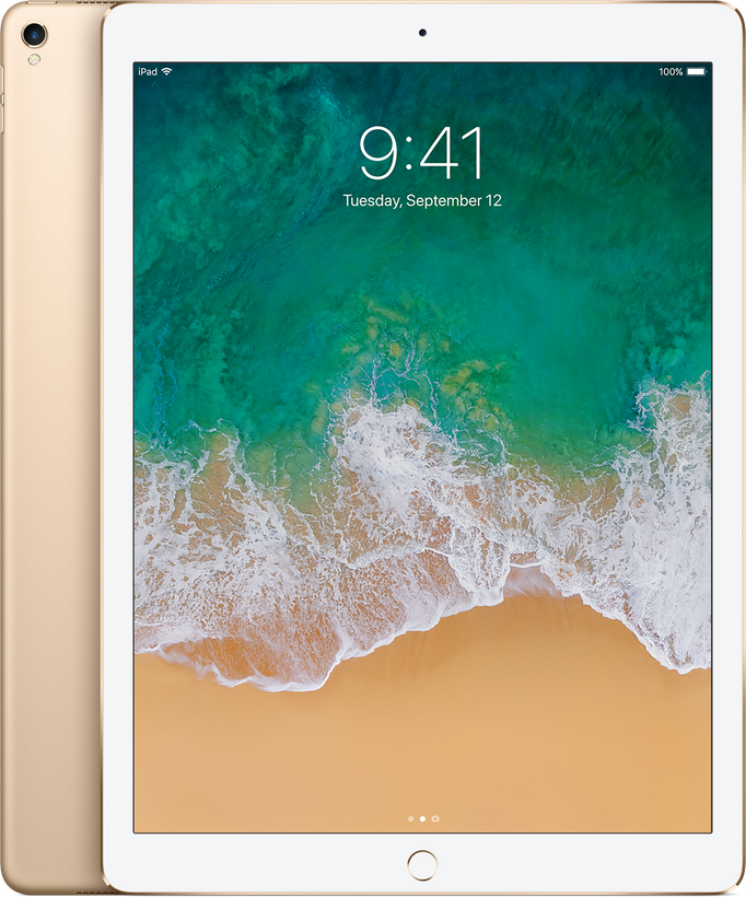 iPad Pro(第2世代)12.9インチ Wi-Fi+Cellularモデル ゴールド