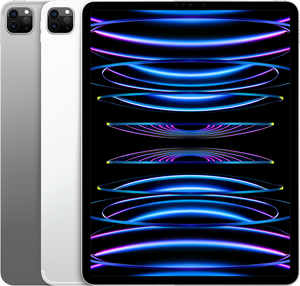 iPad Pro(第6世代)12.9インチ Wi-Fi+Cellularモデル シルバー